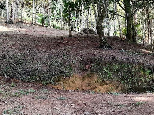 Lote en venta Antioquia Caldas Caldas 3800 m2 Habitaciones 0 Baños 0 Garajes 0 Precio $456000000