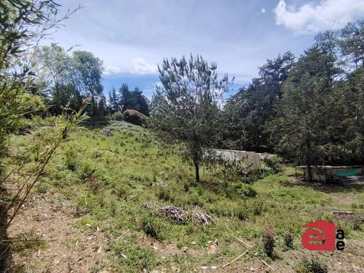 Lote en venta Antioquia Rionegro El Porvenir 6400 m2 Habitaciones 0 Baños 0 Garajes 0 Precio $1100000000