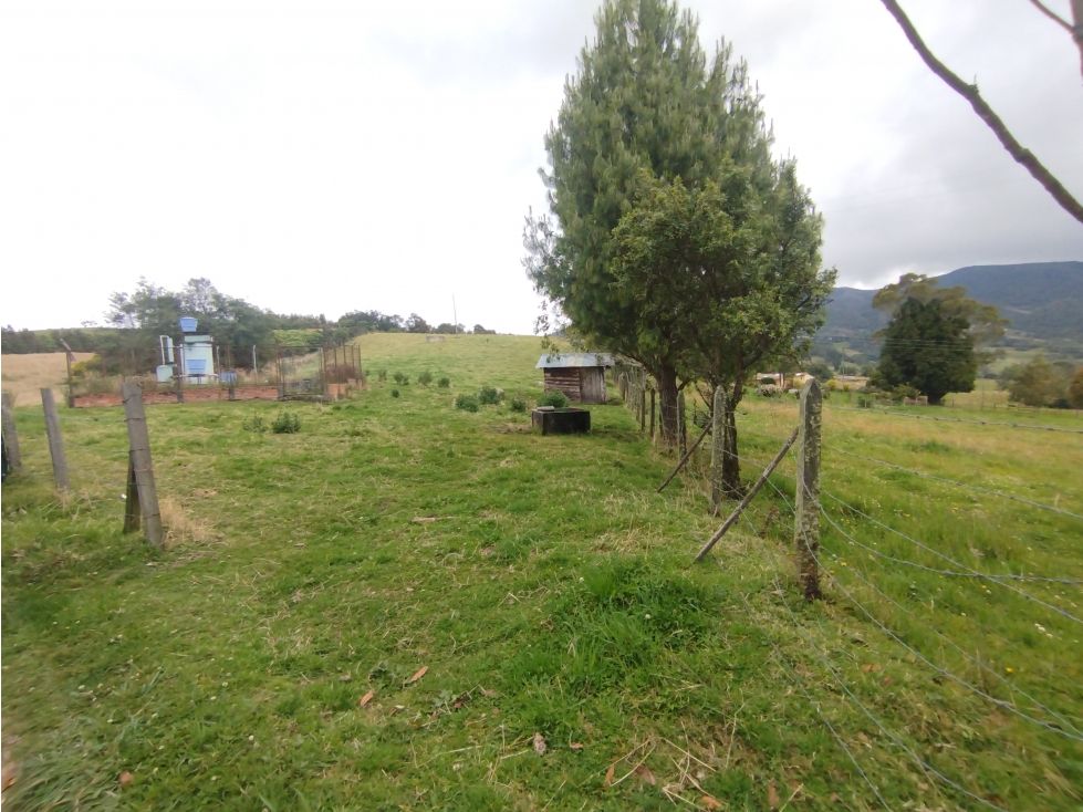 Lote en venta Cundinamarca Subachoque Subachoque 8500 m2 Habitaciones 0 Baños 0 Garajes 0 Precio $130000000