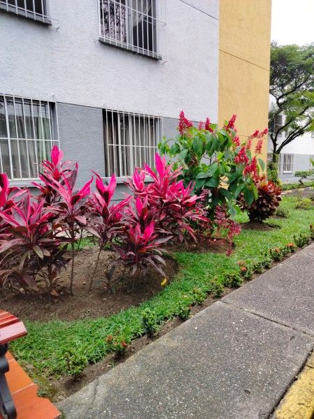 Apartamento en arriendo Valle Del Cauca Cali Nueva Tequendama 96 m2 Habitaciones 3 Baños 2 Garajes 1 Precio $1800000