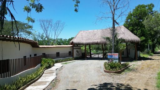 Lote en venta Antioquia Sopetrán Sopetran 2706 m2 Habitaciones 0 Baños 0 Garajes 0 Precio $237750000