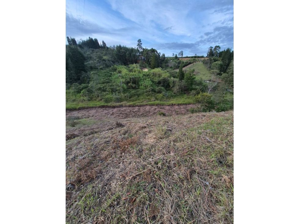 Lote en venta Antioquia Guarne Guarne 1600 m2 Habitaciones 0 Baños 0 Garajes 0 Precio $230000000