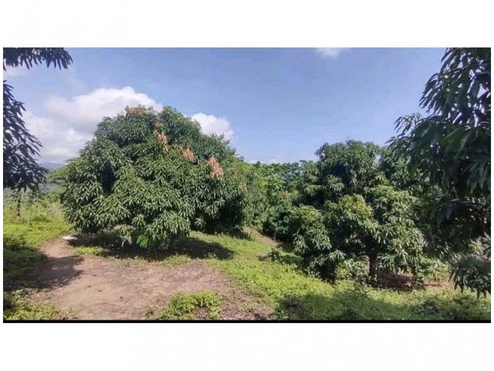 Finca en venta Magdalena Santa Marta Santa Marta 60 m2 Habitaciones 2 Baños 1 Garajes 2 Precio $1200000000