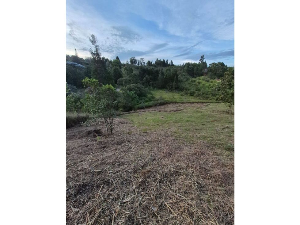 Lote en venta Antioquia Guarne Guarne 1 m2 Habitaciones 0 Baños 0 Garajes 0 Precio $260000000