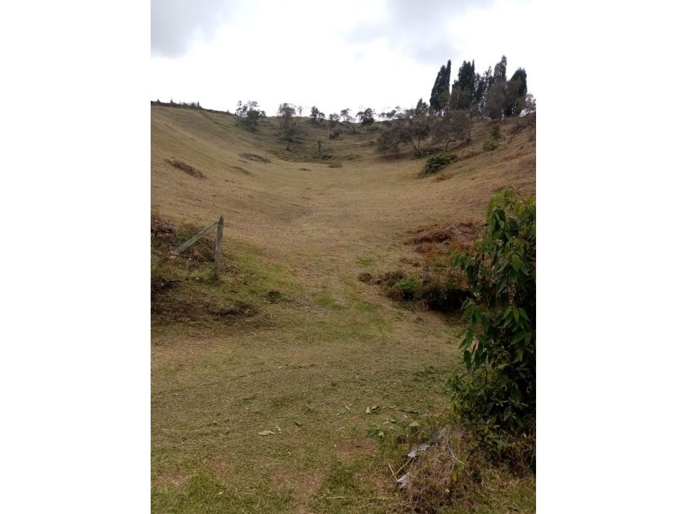 Lote en venta Antioquia Guarne Guarne 14949 m2 Habitaciones 0 Baños 0 Garajes 0 Precio $1496000000