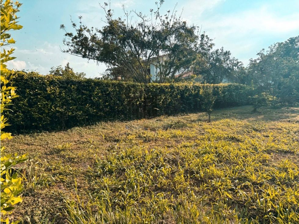 Lote en venta Caldas Manizales Manizales 1270 m2 Habitaciones 0 Baños 0 Garajes 0 Precio $340000000