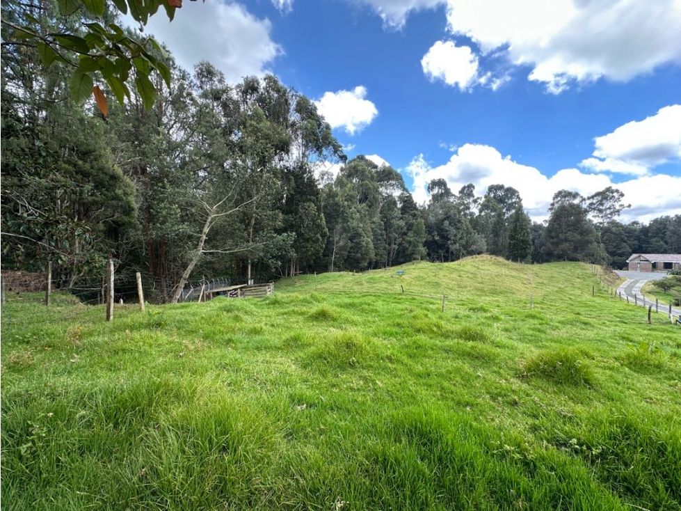 Lote en venta Antioquia Envigado Envigado 11483 m2 Habitaciones 0 Baños 0 Garajes 0 Precio $5290000000