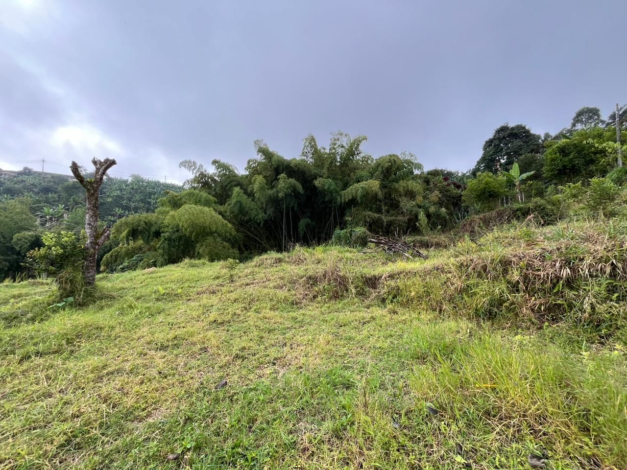Lote Rural en venta Risaralda Pereira Jardin De Velez Y Velez 200 m2 Habitaciones 0 Baños 0 Garajes 0 Precio $250000000