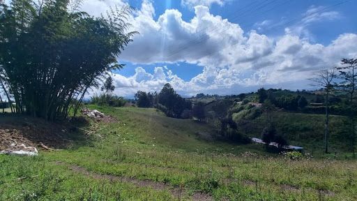 Lote en arriendo Antioquia Marinilla Marinilla 0 m2 Habitaciones 0 Baños 0 Garajes 0 Precio $7000000
