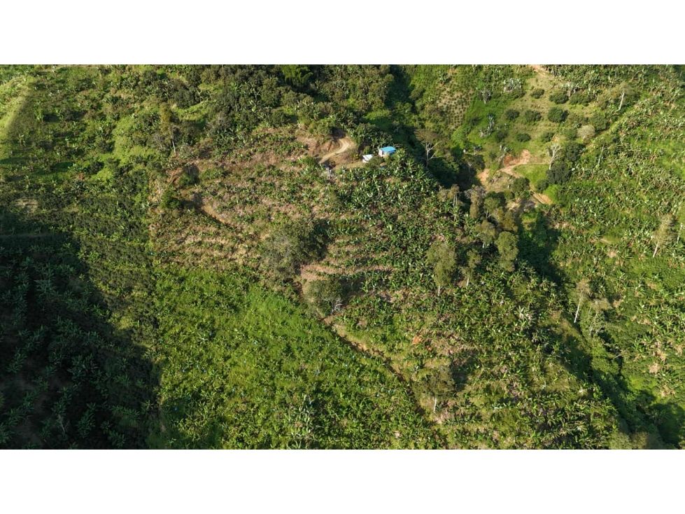 Lote en venta Caldas Belalcázar Belalcázar 50000 m2 Habitaciones 0 Baños 0 Garajes 0 Precio $265000000