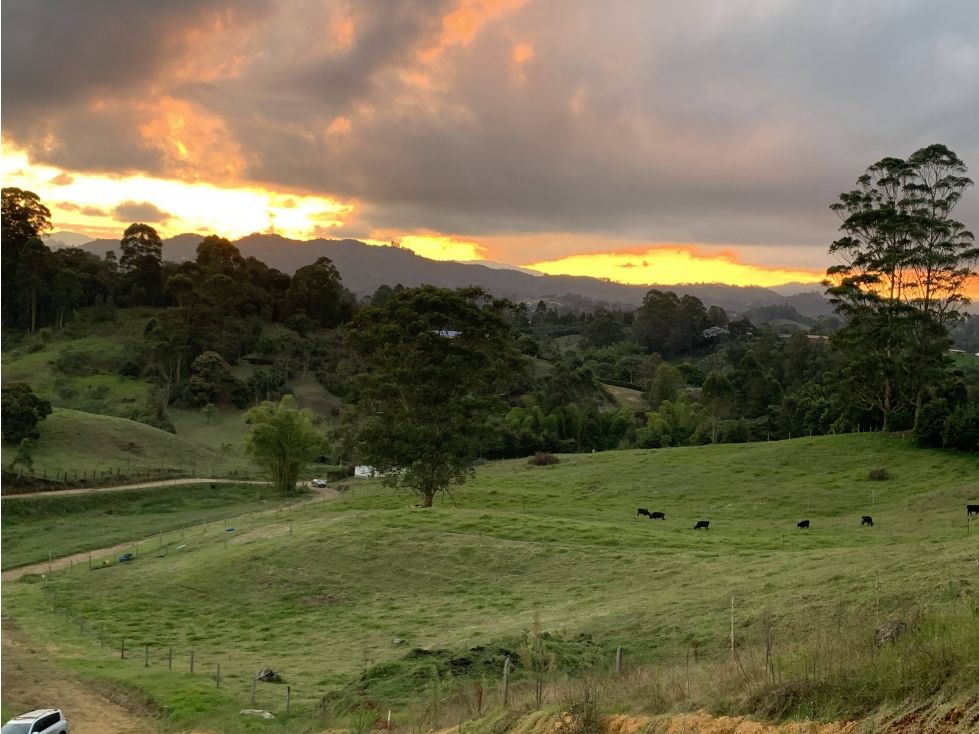 Lote en venta Antioquia Rionegro El Porvenir 27000 m2 Habitaciones 0 Baños 0 Garajes 0 Precio $3780000000