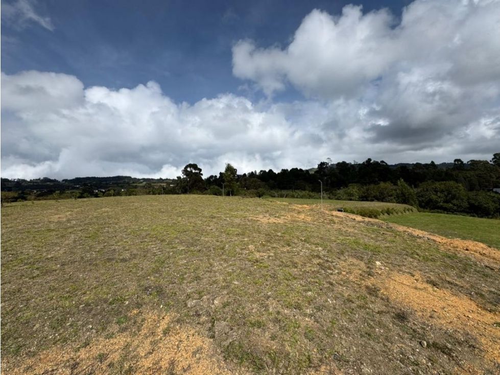 Lote en venta Antioquia Envigado Zúñiga 1 m2 Habitaciones 0 Baños 0 Garajes 0 Precio $970000000