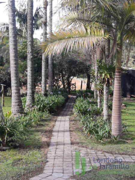 Finca en venta Antioquia El Carmen De Viboral El Centro 3615 m2 Habitaciones 3 Baños 3 Garajes 5 Precio $1200000000