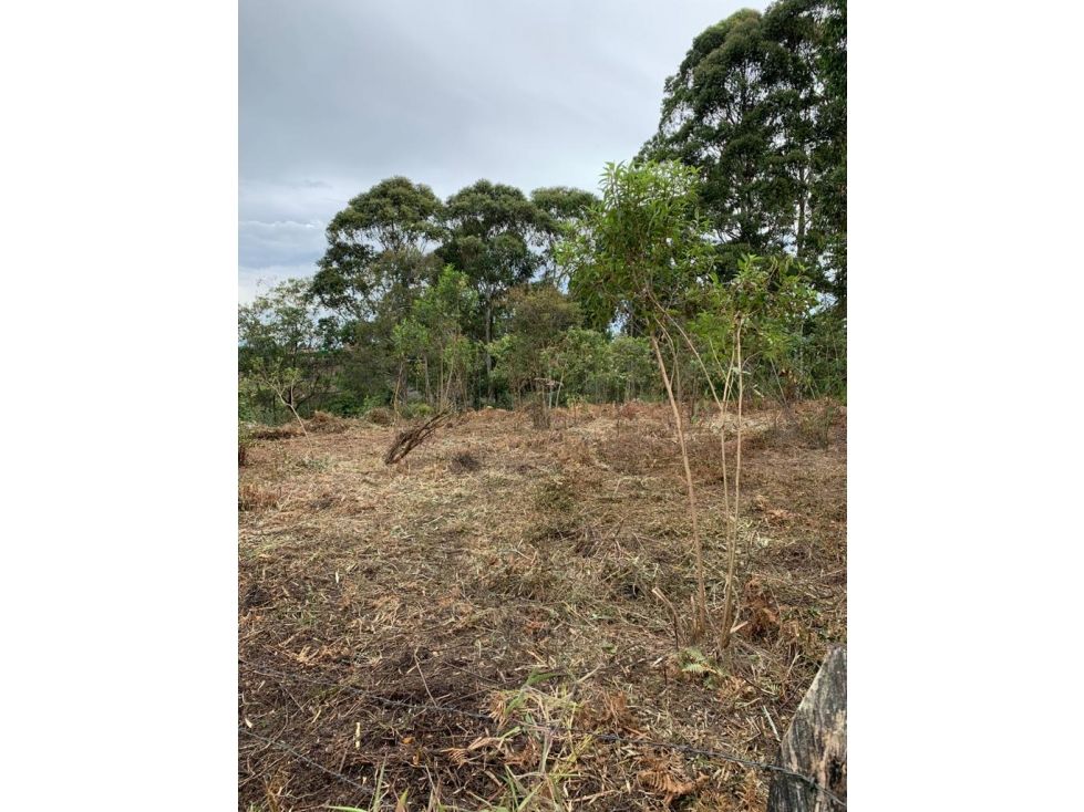 Lote en venta Antioquia Rionegro Rionegro 8420 m2 Habitaciones 0 Baños 0 Garajes 0 Precio $757800000