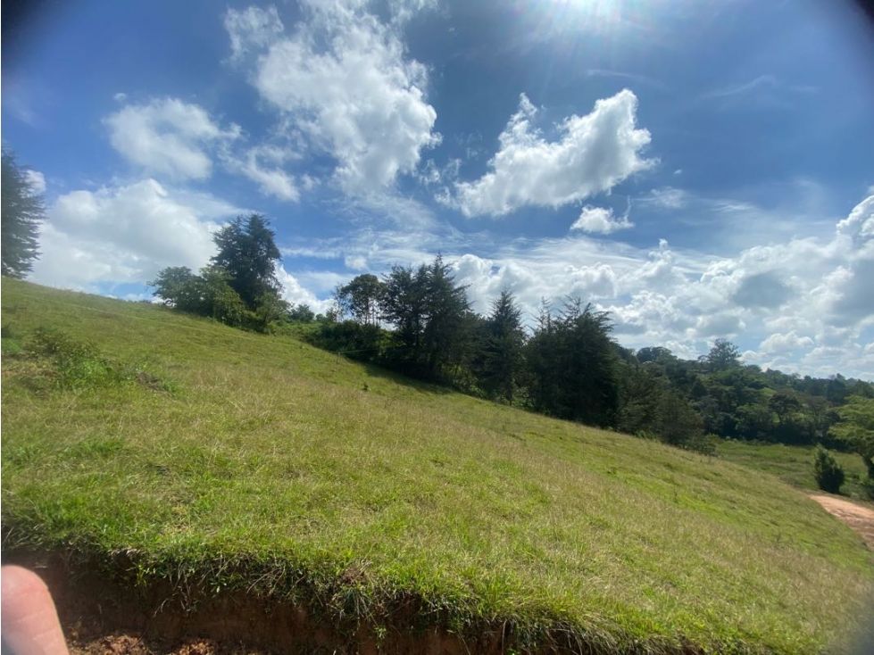 Lote en venta Antioquia El Santuario Vista Hermosa 2644 m2 Habitaciones 0 Baños 0 Garajes 0 Precio $475920000