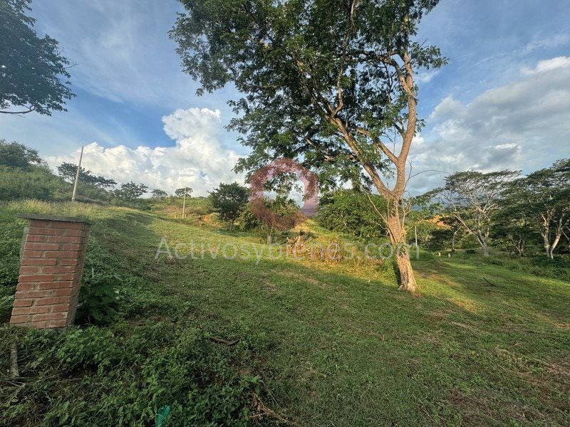 Lote en venta Antioquia Sopetrán Sopetran 2033 m2 Habitaciones 0 Baños 0 Garajes 0 Precio $250000000