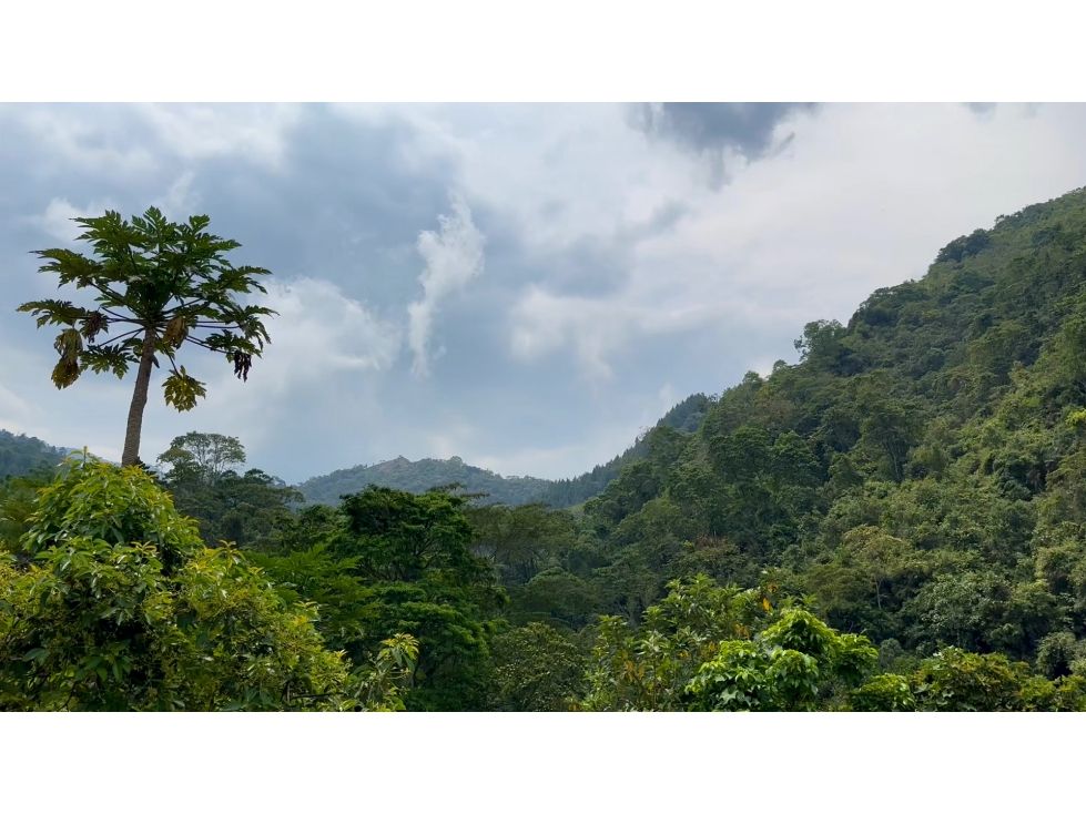 Finca en venta Cundinamarca La Vega La Vega 396000 m2 Habitaciones 0 Baños 0 Garajes 0 Precio $2900000000