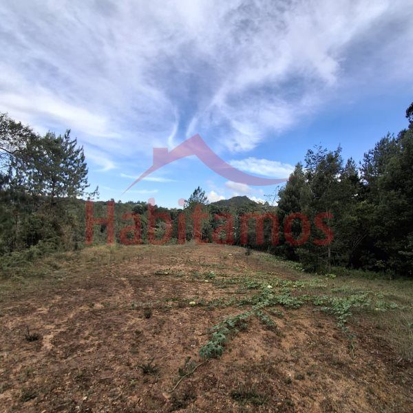 Lote en venta Antioquia El Retiro El Retiro 11646 m2 Habitaciones 0 Baños 0 Garajes 0 Precio $1400000000