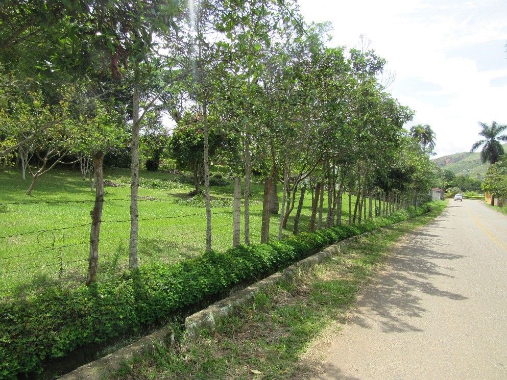 Lote en venta Valle Del Cauca Dagua Dagua 0 m2 Habitaciones 0 Baños 0 Garajes 0 Precio $170000000