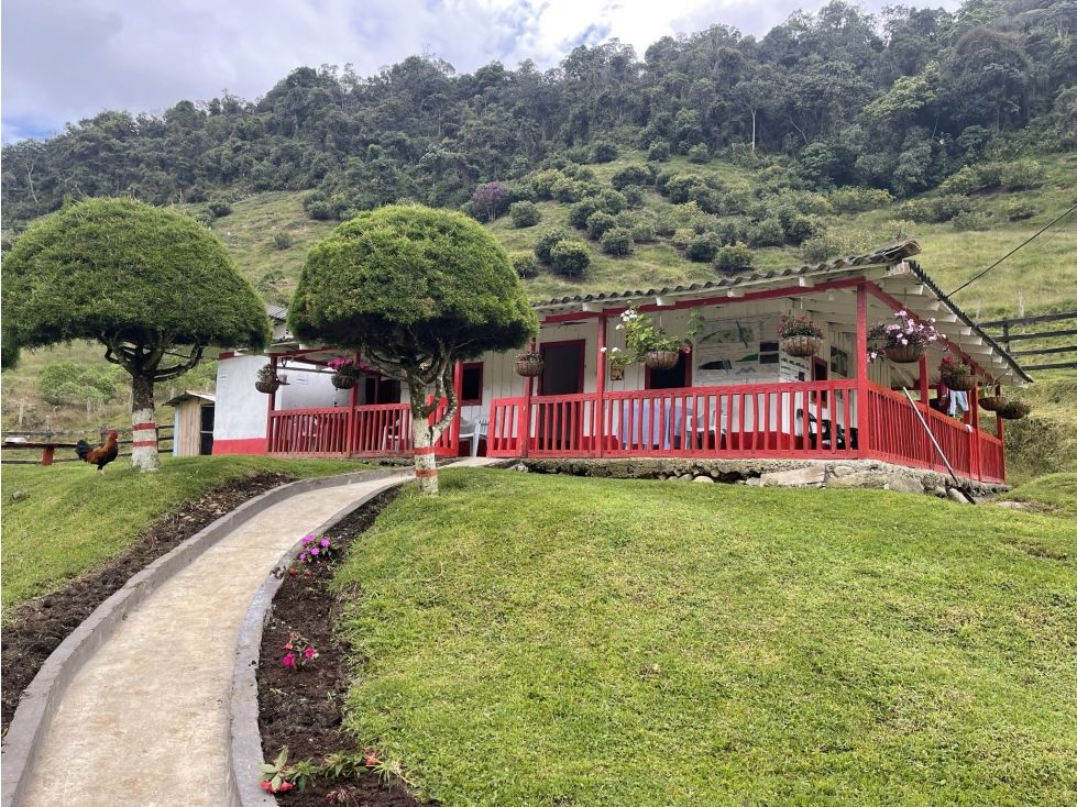 Finca en venta Chocó El Carmen De Atrato El Carmen De Atrato 206 m2 Habitaciones 5 Baños 3 Garajes 4 Precio $1250000000