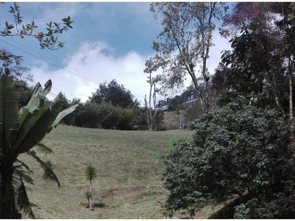 Lote en venta Antioquia Envigado Alto De Palmas 3015 m2 Habitaciones 0 Baños 0 Garajes 0 Precio $1300000000