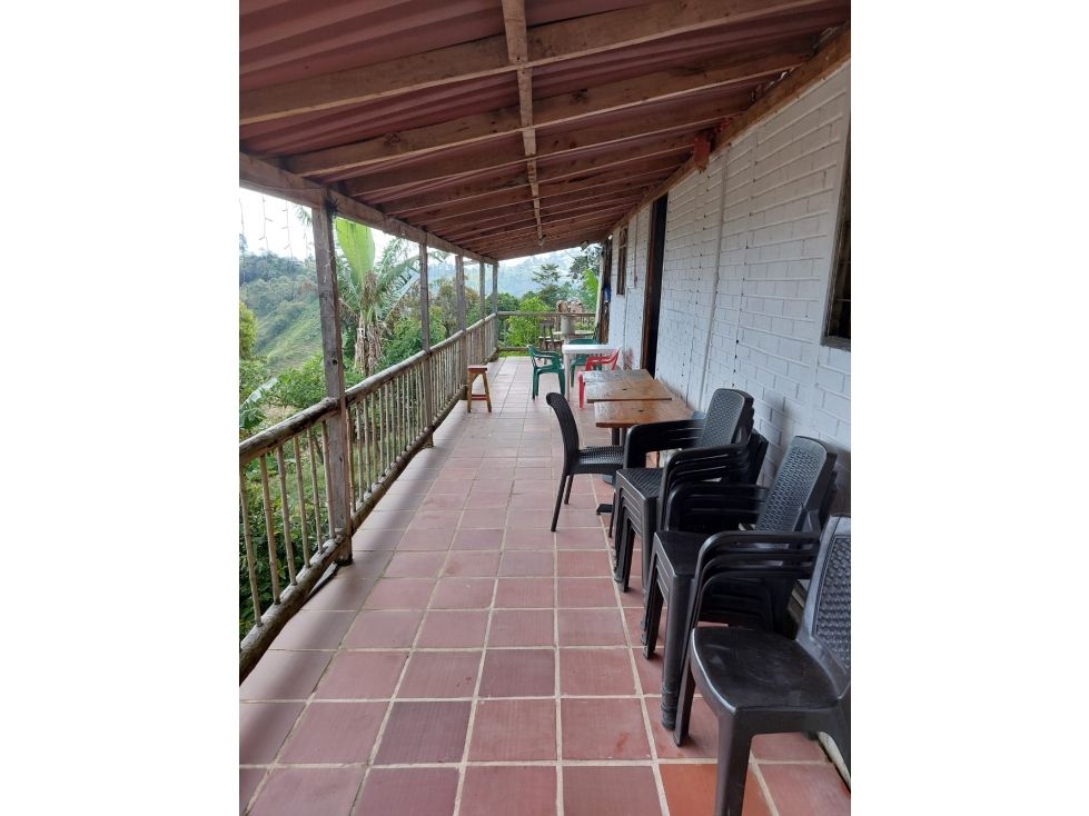 Finca en venta Antioquia Fredonia Fredonia 89 m2 Habitaciones 4 Baños 2 Garajes 4 Precio $380000000