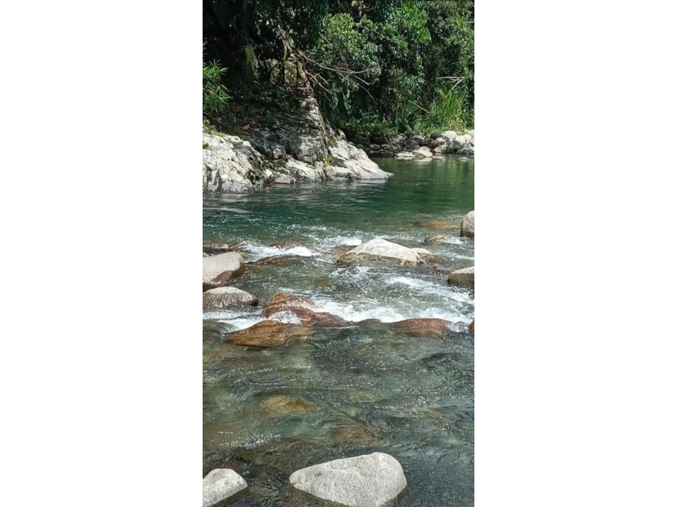 Finca en venta Caldas Samaná Samana 200 m2 Habitaciones 5 Baños 2 Garajes 6 Precio $600000000