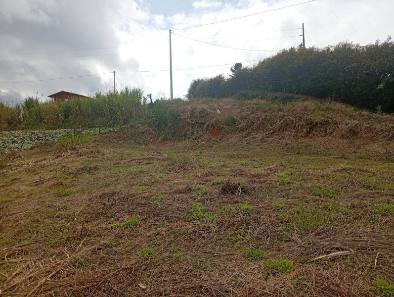 Lote en venta Antioquia El Santuario Jose Maria Cordova 600 m2 Habitaciones 0 Baños 0 Garajes 0 Precio $250000000