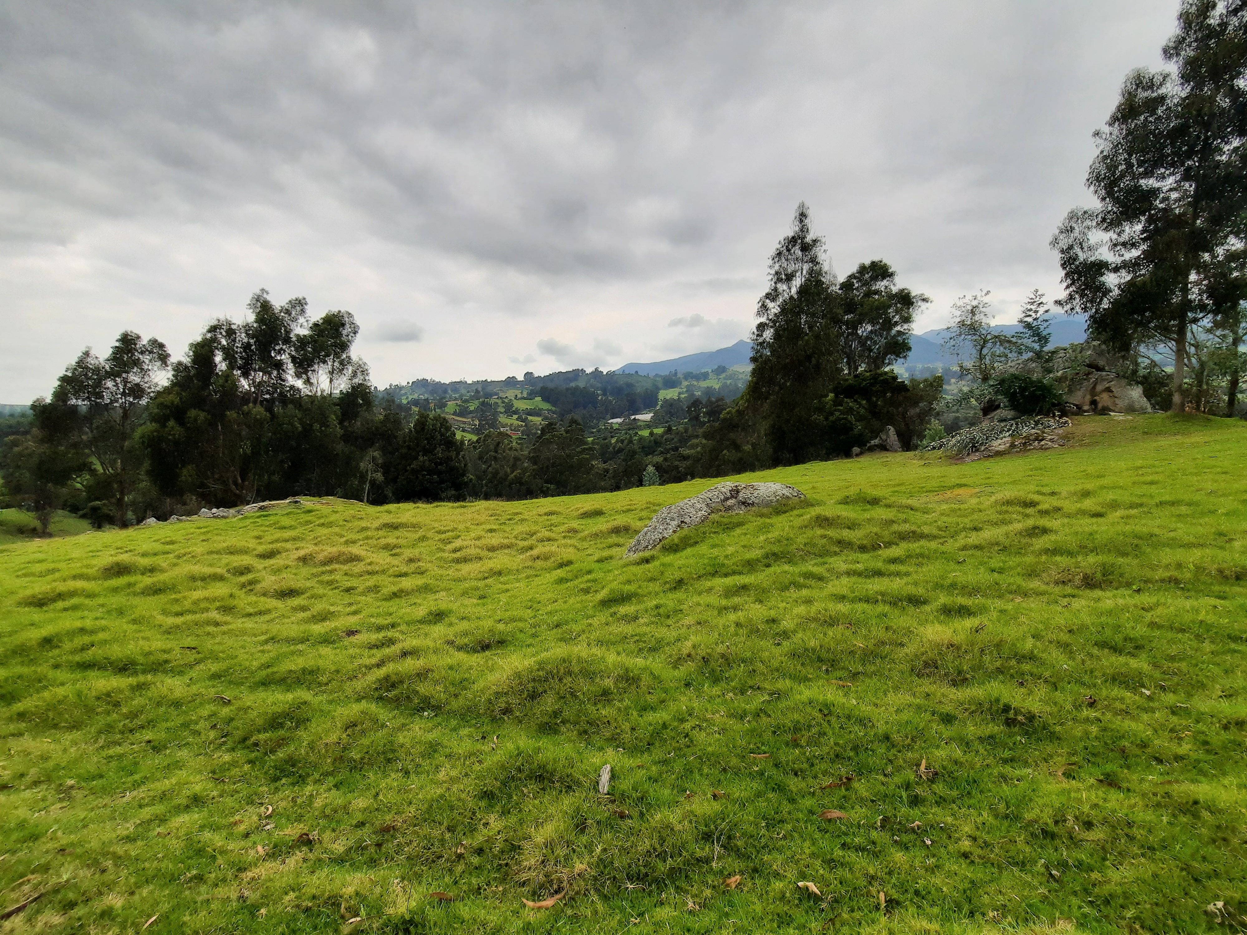 Lote Rural en venta Cundinamarca Cogua Cogua 20 m2 Habitaciones 0 Baños 0 Garajes 0 Precio $600000000