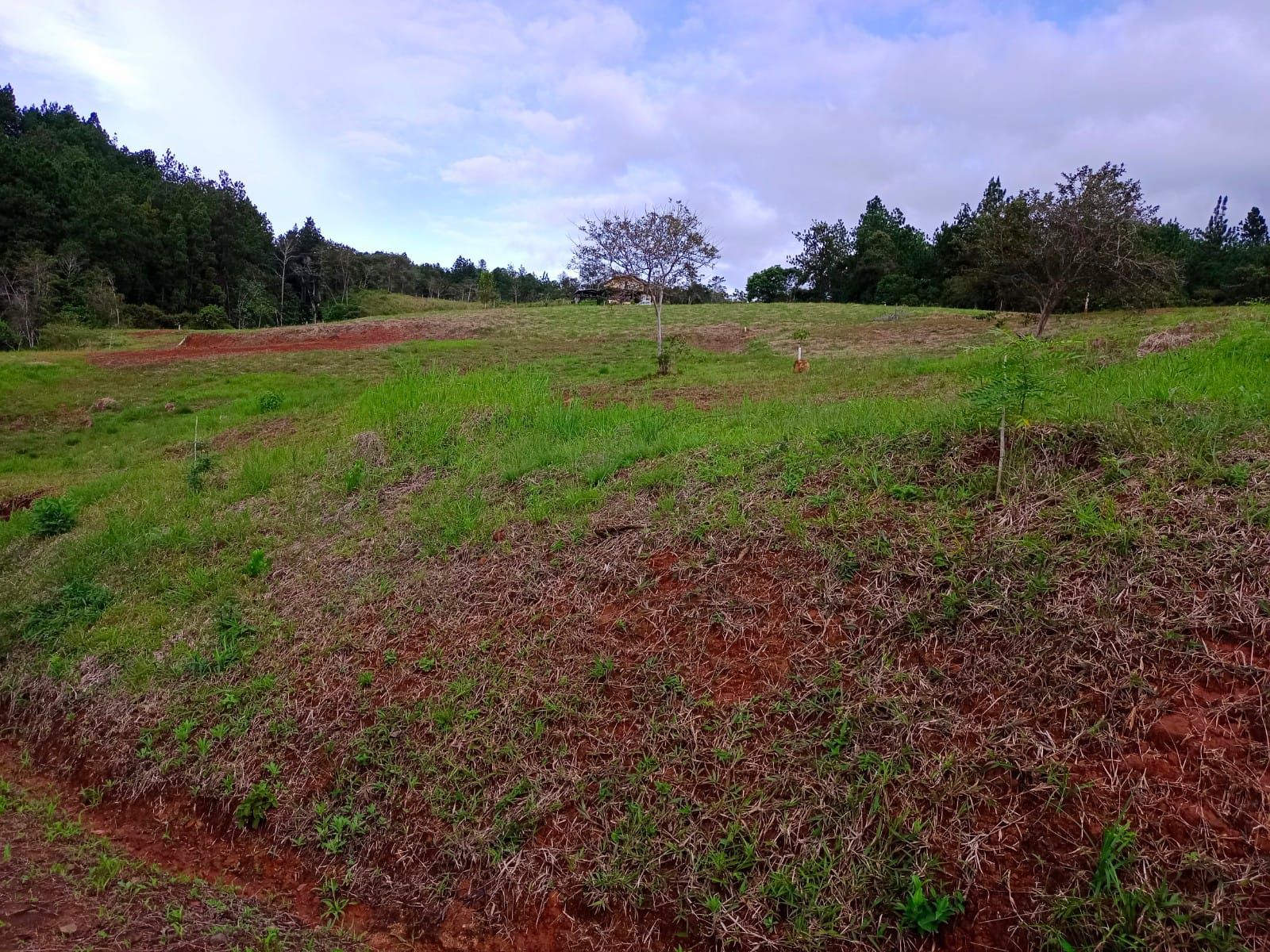 Lote en arriendo Valle Del Cauca Dagua Dagua 10 m2 Habitaciones 0 Baños 0 Garajes 0 Precio $1700000