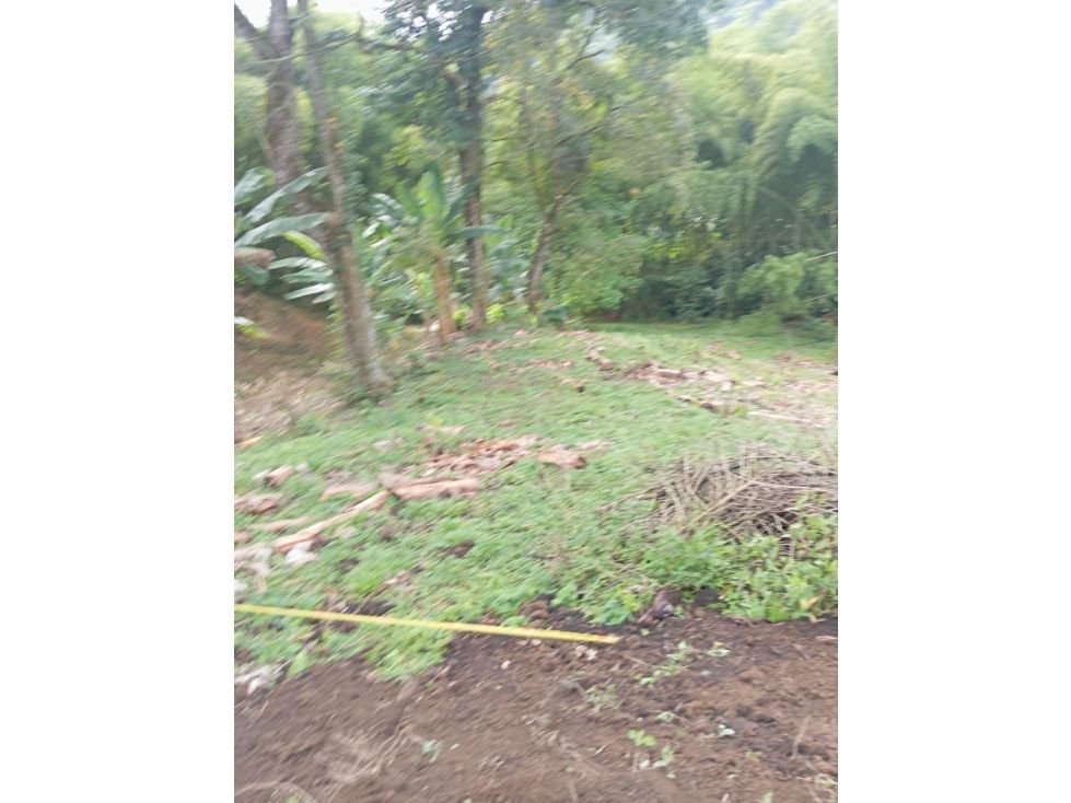Lote en venta Caldas Chinchiná Chinchiná 1000 m2 Habitaciones 0 Baños 0 Garajes 0 Precio $120000000