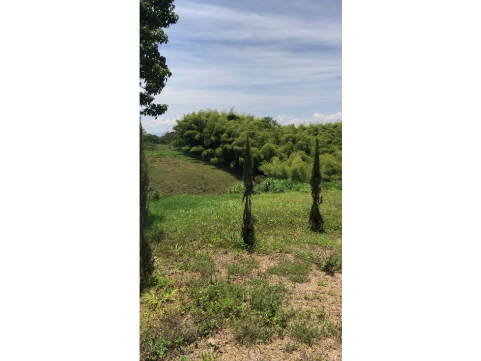 Lote en venta Risaralda Pereira Otros 2226 m2 Habitaciones 0 Baños 0 Garajes 0 Precio $650000000
