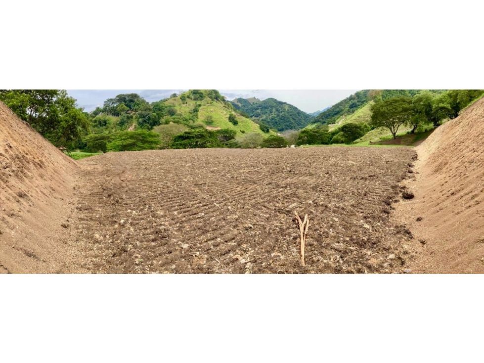 Lote en venta Antioquia Salgar Salgar 3000 m2 Habitaciones 0 Baños 0 Garajes 0 Precio $560000000