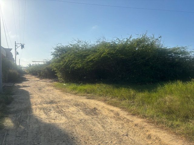 Lote en venta Atlántico Juan De Acosta Juan De Acosta 0 m2 Habitaciones 0 Baños 0 Garajes 0 Precio $220000000