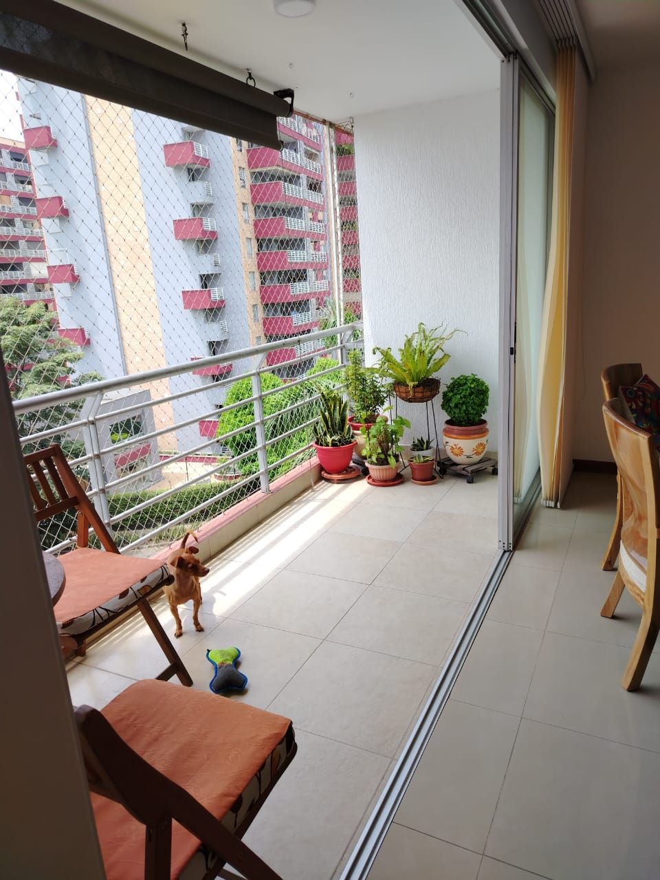 Apartamento en venta Valle Del Cauca Cali Area Libre - Parque Del Amor 110 m2 Habitaciones 3 Baños 2 Garajes 1 Precio $570000000