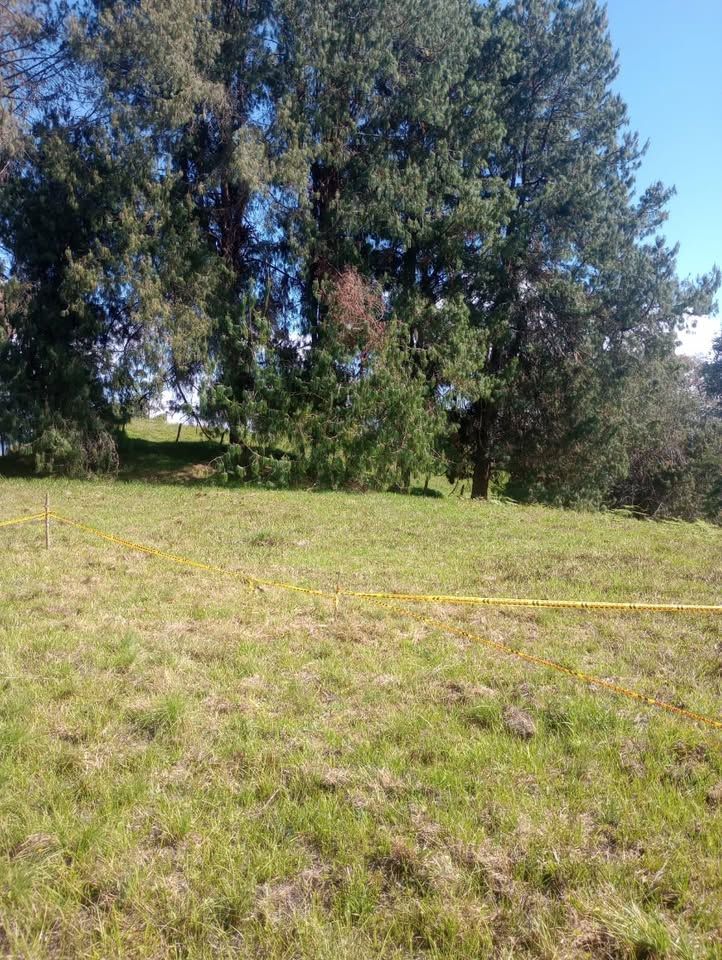 Lote en venta Antioquia Barbosa Barbosa 0 m2 Habitaciones 0 Baños 0 Garajes 0 Precio $115000000