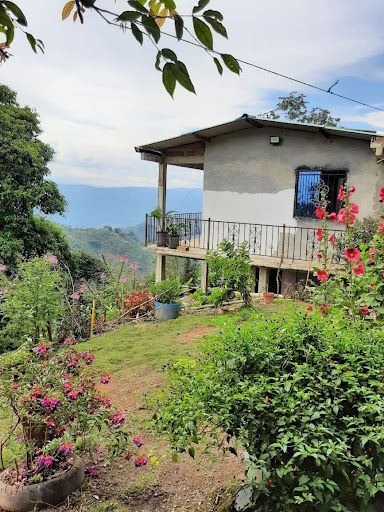 Finca en venta Risaralda Pereira Pereira 236 m2 Habitaciones 4 Baños 3 Garajes 0 Precio $680000000