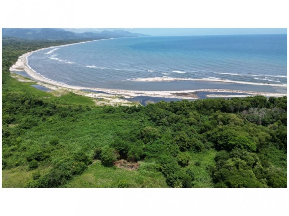 Lote en venta Magdalena Santa Marta Santa Marta 30707 m2 Habitaciones 0 Baños 0 Garajes 0 Precio $3684000000