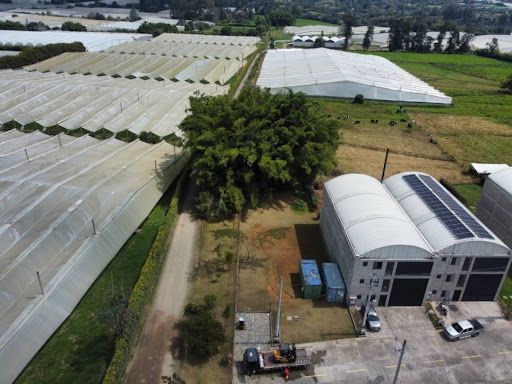 Bodega en arriendo Antioquia La Ceja La Ceja 400 m2 Habitaciones 0 Baños 3 Garajes 4 Precio $12000000