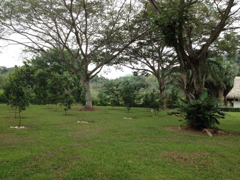 Lote en venta Cundinamarca Nilo Nilo 0 m2 Habitaciones 0 Baños 0 Garajes 0 Precio $350000000