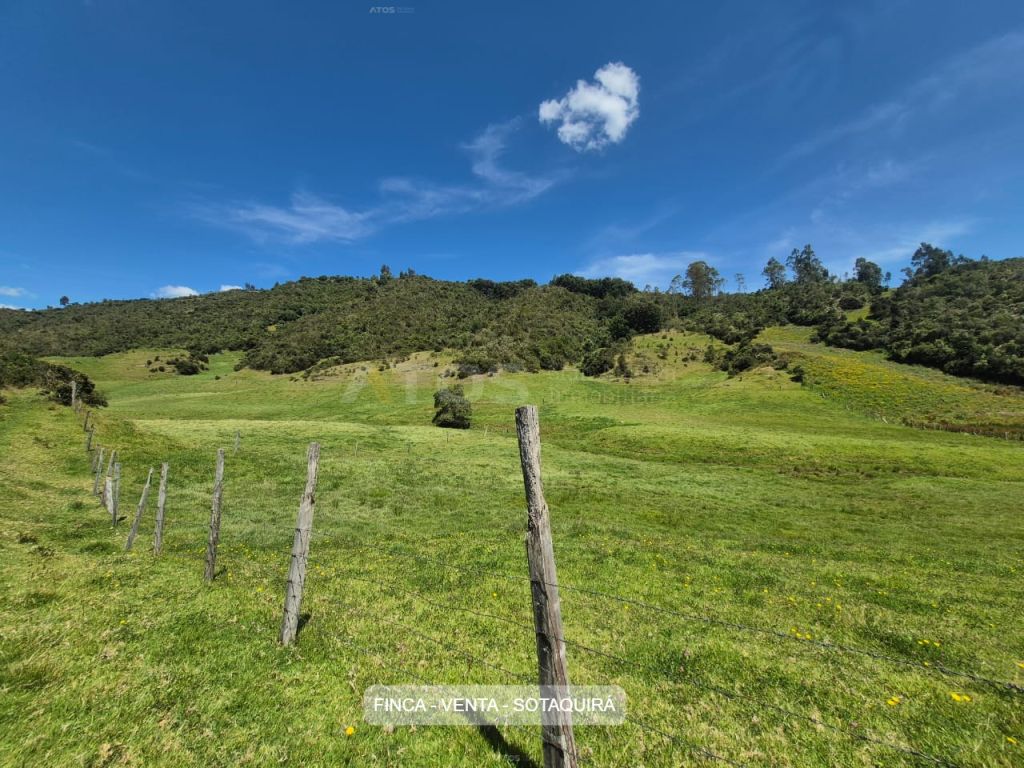 Finca en venta Boyacá Sotaquirá Sotaquira 36 m2 Habitaciones 2 Baños 1 Garajes 0 Precio $1500000000