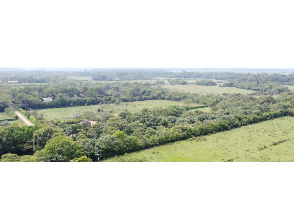 Lote en venta Meta Villavicencio Villavicencio 1 m2 Habitaciones 0 Baños 0 Garajes 0 Precio $230000000