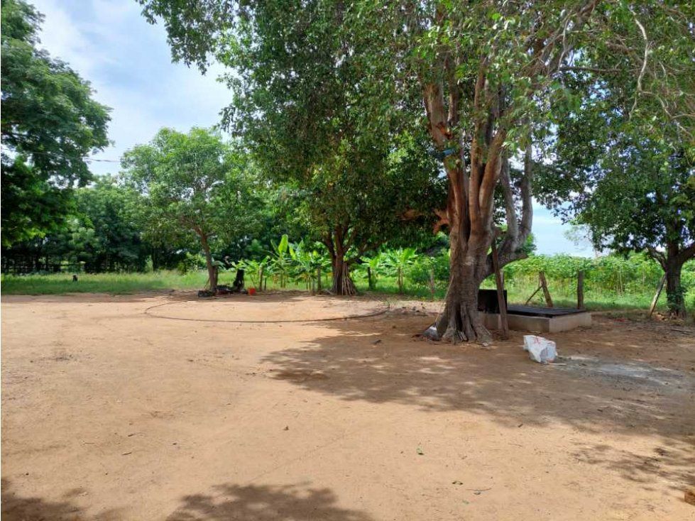 Finca en venta Cesar Valledupar Valledupar 245 m2 Habitaciones 3 Baños 2 Garajes 4 Precio $2999000000