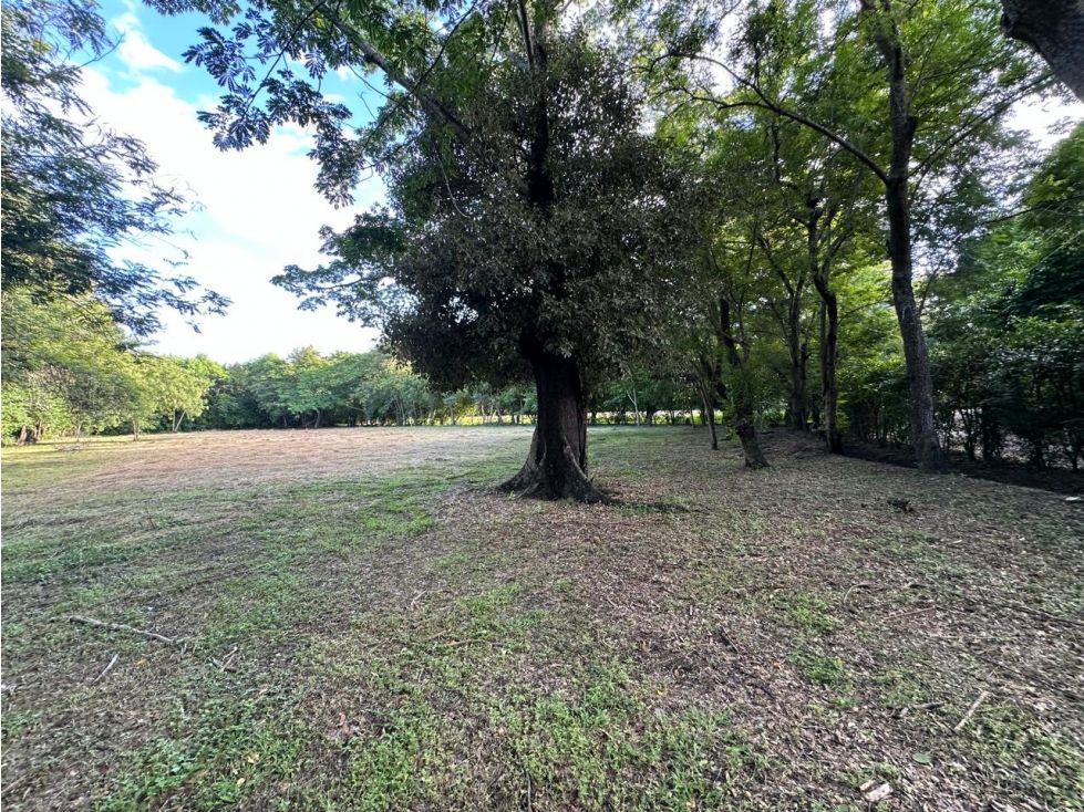 Lote en venta Cundinamarca Tocaima Tocaima 6454 m2 Habitaciones 0 Baños 0 Garajes 0 Precio $460000000