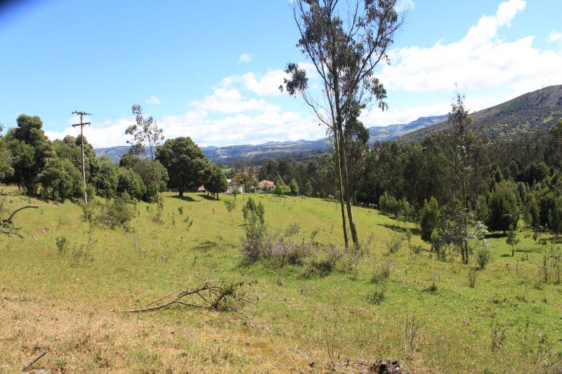 Lote en venta Cundinamarca Sesquilé Sesquile 178986 m2 Habitaciones 0 Baños 0 Garajes 0 Precio $8500000000