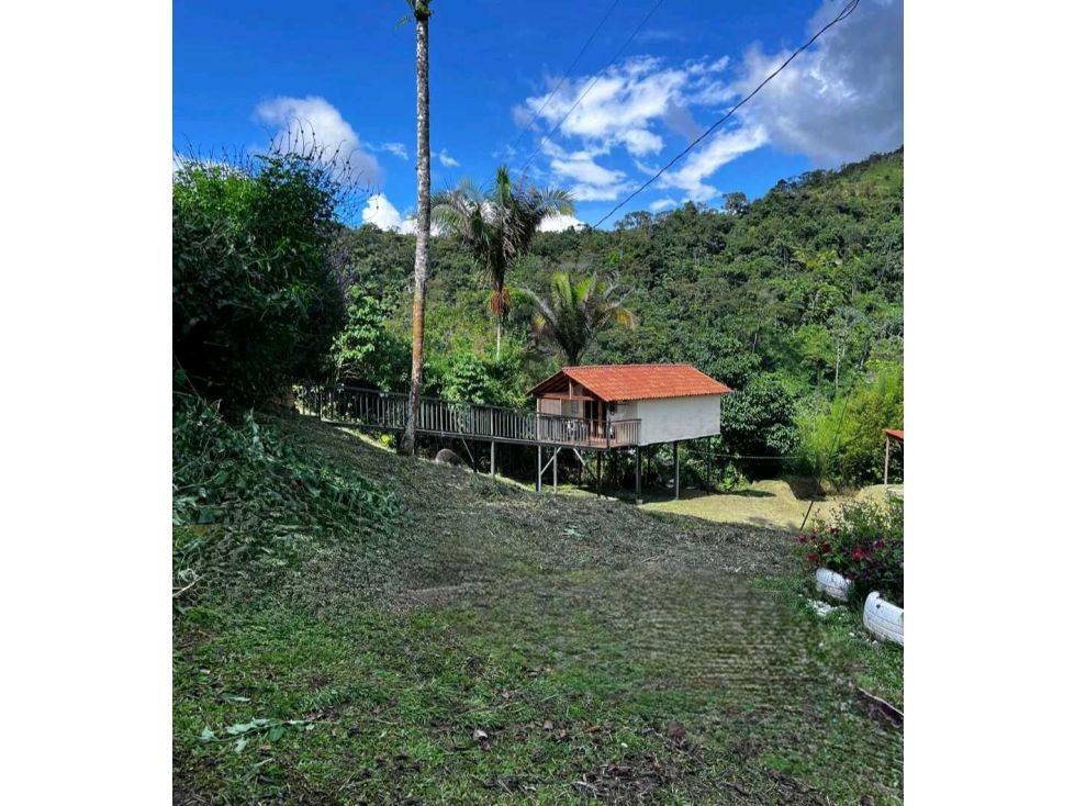Finca en venta Antioquia Cocorná Cocorna 200 m2 Habitaciones 4 Baños 3 Garajes 6 Precio $600000000