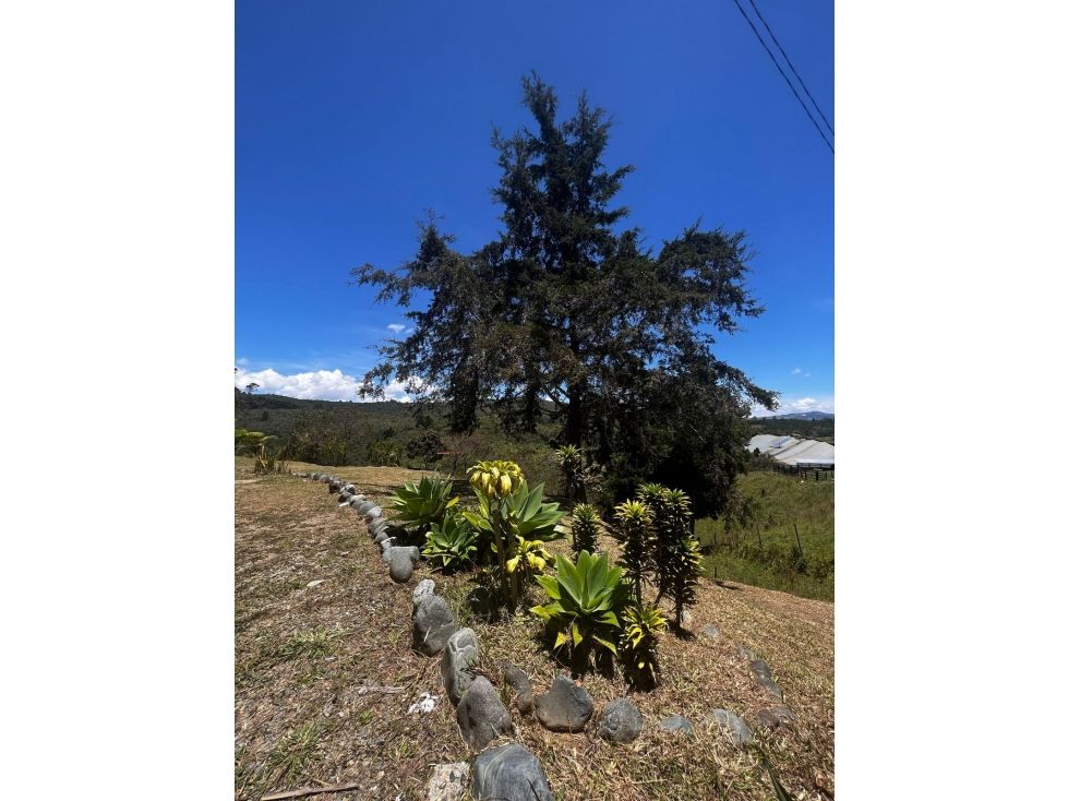 Finca en venta Antioquia Guarne Guarne 200 m2 Habitaciones 4 Baños 0 Garajes 0 Precio $850000000