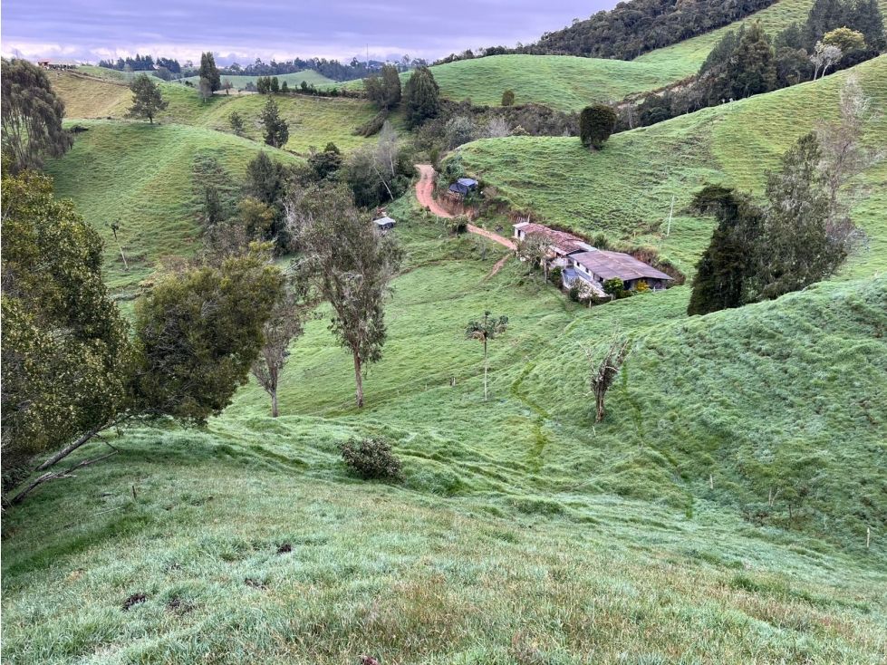 Finca en venta Antioquia Santa Rosa De Osos Santa Rosa De Osos 250 m2 Habitaciones 3 Baños 2 Garajes 9 Precio $3780000000