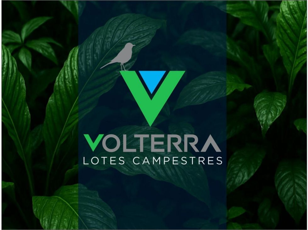 Lote en venta Meta Acacías Acacias 2500 m2 Habitaciones 0 Baños 0 Garajes 0 Precio $325000000