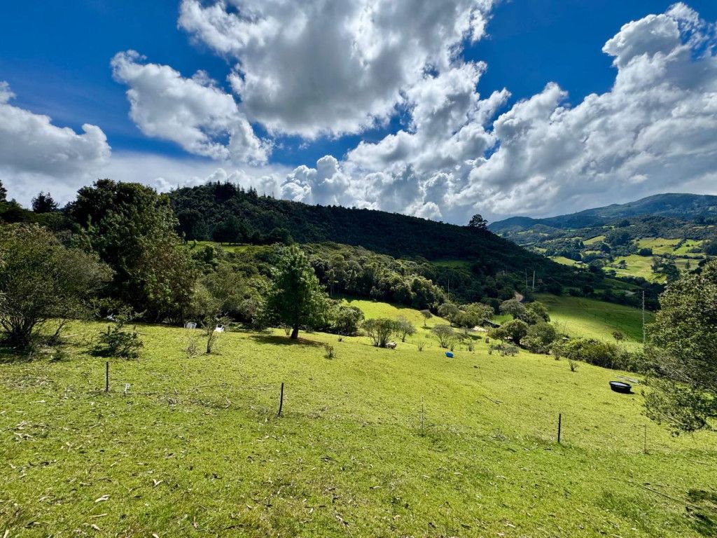 Lote en venta Cundinamarca Guasca Guasca 0 m2 Habitaciones 0 Baños 0 Garajes 0 Precio $600000000